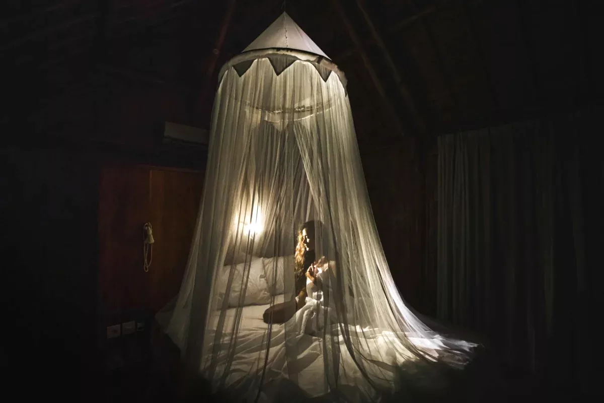 bed mosquito net